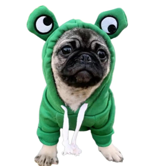 ANIAC Funny Pet Clothes for Small Dog Cat Girl Male Frog Dog Hoodies Warm Dog Sweatshirt Coat with Eye Hood Fall Puppy Cat Apparel Christmas Halloween Dog Frog Costume (Green XX-Large)