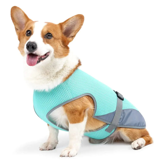 Blue Dog Cooling VestBreathable Mesh Ice Vest Harness Dog Jackets Safety Soft Light Weight Cooling Coats Clothes with Adjustable Strap for Summer Sun-Proof Small Medium Pet Dog Puppy Outdoor